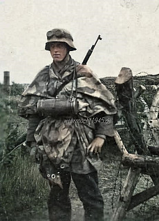 Koupím WW2 německé výstrojové, uniformové součástky