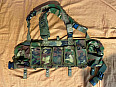 AWS Special Force chest rig
