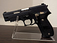 TM P226 Salient Arms