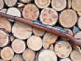 Gewehr 98 Amberg 1917 WWI