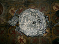 US Army ACU UCP batoh medic batoh bag SDS digital US zdravotnický molle II