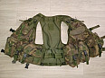 Wyvern all arms vest DPM