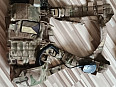 chestrig FALCON Multicam