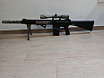 SR25 -DMR