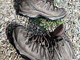 Salomon Quest 4D GTX Forces 2 EN 2023 Earth Brown