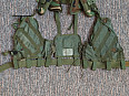 Vesta Enhanced Tactical Load Bearing Vest 