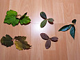 Maskovací komponenty KMCS / Novritsch