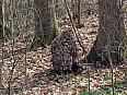 PRODÁM: Maskovací převlečník (Ghillie/Leafy suit)