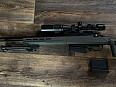 Amoeba Striker Tactical T1 HPA
