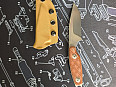 Kizer Muskrat Derek Sharon