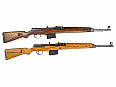 Gewehr 43, G43, K43