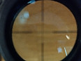 ACOG