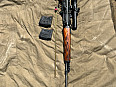 SVD