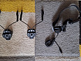 EARMOR M32H PLUS