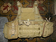 US ARMY vesta RANGER PLATE CARRIER nosič plátů EAGLE coyote
