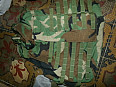 US Army WDL WOODLAND vesta IBA molle II Interceptor body armor