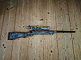 VSR-10 Cyma