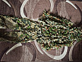 ghillie suit novritsch