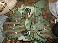US Army WDL WOODLAND vesta IBA molle II Interceptor body armor