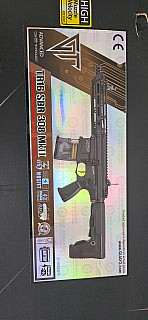 TR16 SBR 308 Mk II