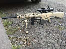 SR25 M110