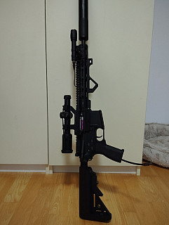 PULSAR D Hpa DMR