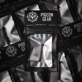 PG Front Lock Pin AR15