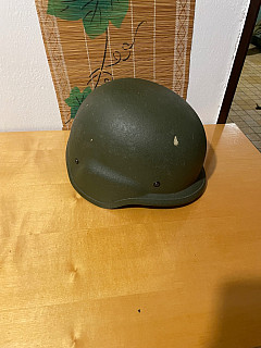 Helma pancéřová 2006