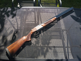 Koupím ZNEHODNOCENOU KOzlici.