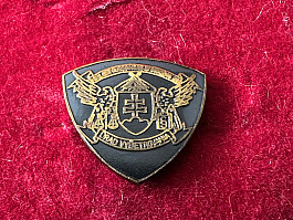 policejní odznak slovenský