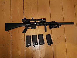 Výměna Sr-25 za SRS A2