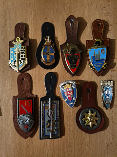 Kapsové odznaky Francie