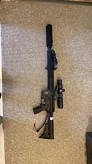 Ar Delta armory F2 polarstar 