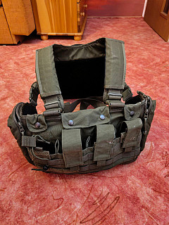 Tasmanian Tiger TT chest rig MKII + zádní panel TT Trooper back plate.