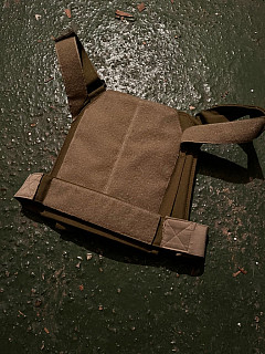 Chicken plate carrier