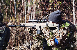 FN Scar H DMR CyberGun Sparklabs Wolf