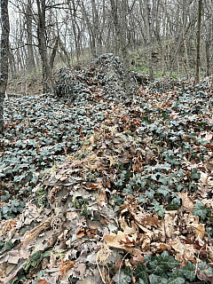 KMCS 3.0 + scg material