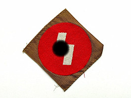 Originál nášivka HJ/DJ runa na rukáv