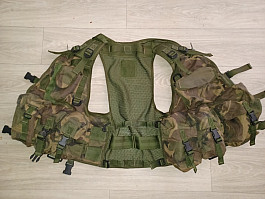 Wyvern all arms vest DPM