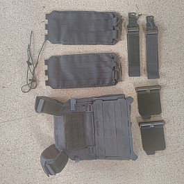 Combat Systems Sentinel 2.0 RG M