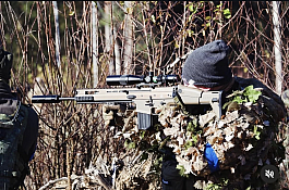 CYBERGUN SCAR H DMR SPARKLABS WOLF HPA