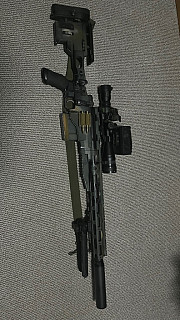 Custom ARES MSR338
