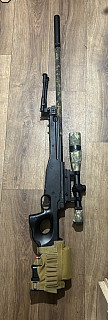 L 96 hpa