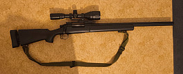 Vyměním SSG24 za GBB