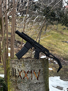 AAP-01 custom M4 build