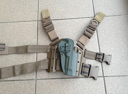 Safariland holster