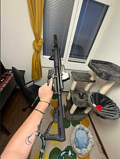 Pro Arms ICS Par MK3 F2