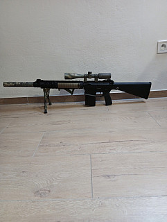 SR25 -DMR