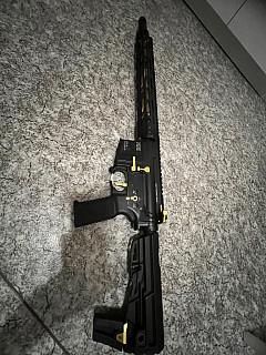 TM MTR16 Gold Edition