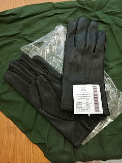 Rukavice kožené AČR 